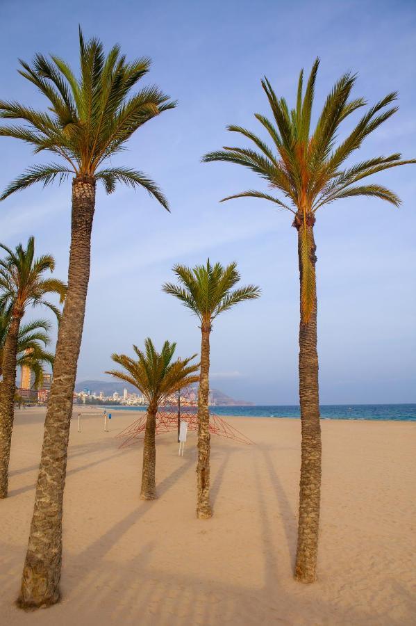 Ibis Budget Alicante Pension Sin Comedor Exterior photo
